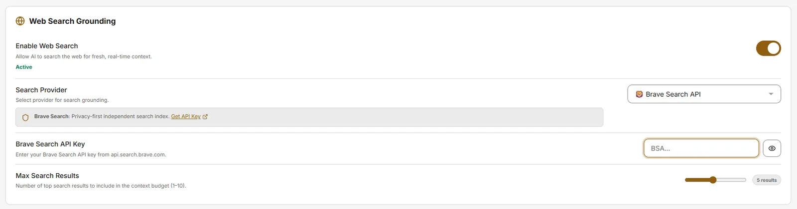 Brave provider API key field
